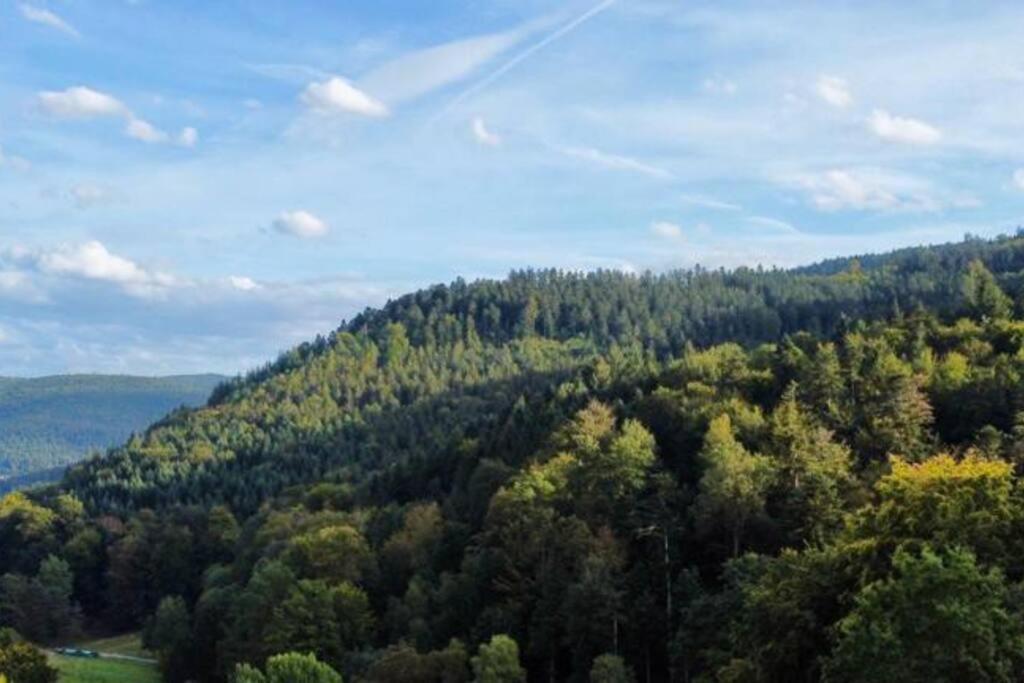 Wohnen Im Schwarzwald Mit Panoramablick Apartment Bad Herrenalb Bagian luar foto